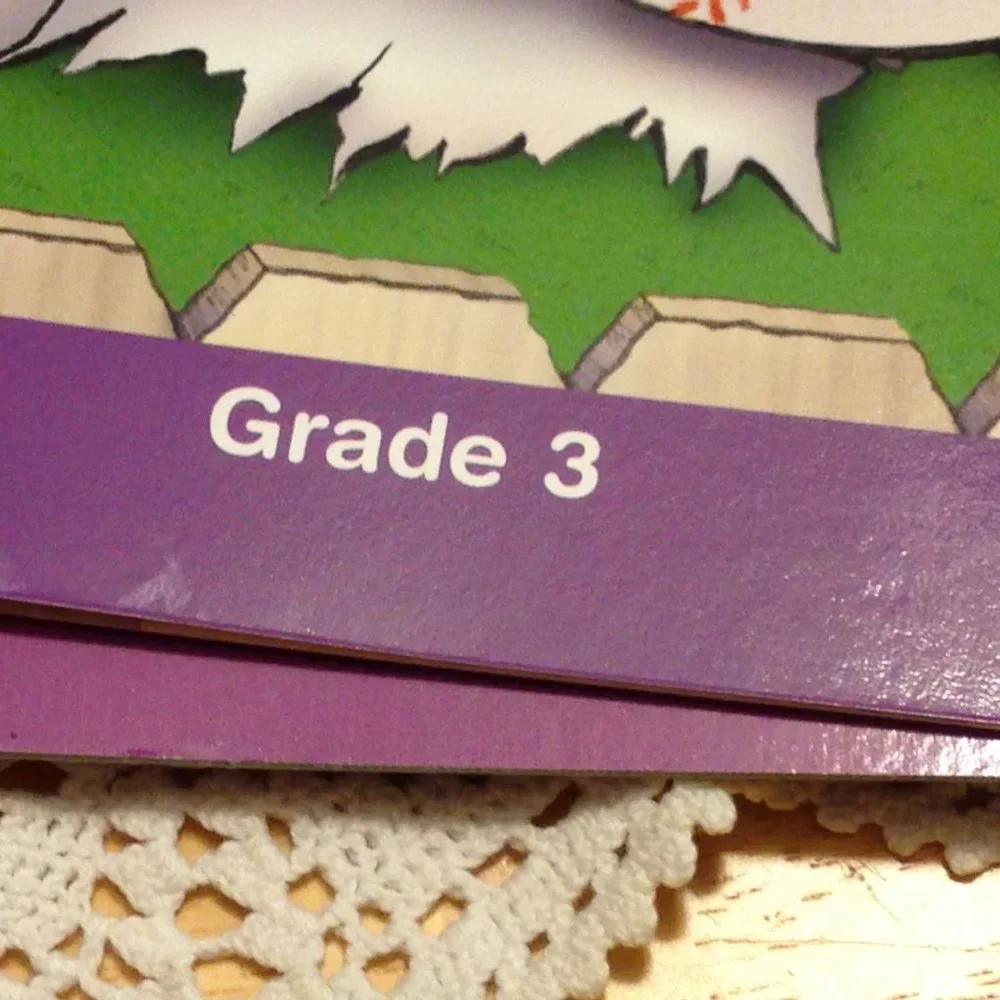 Math Readers, Houghton Mifflin Math, Third Grade Level
